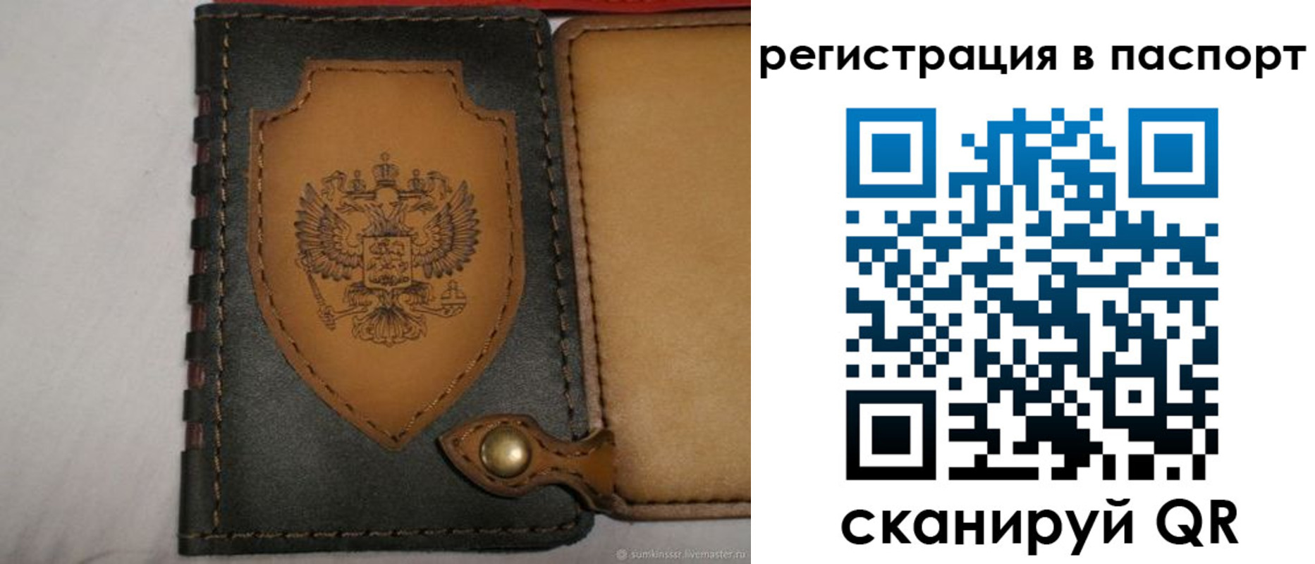 прописка поиск в Сланцах